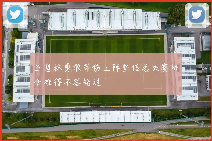 王哲林勇敢带伤上阵坚信总决赛机会难得不容错过