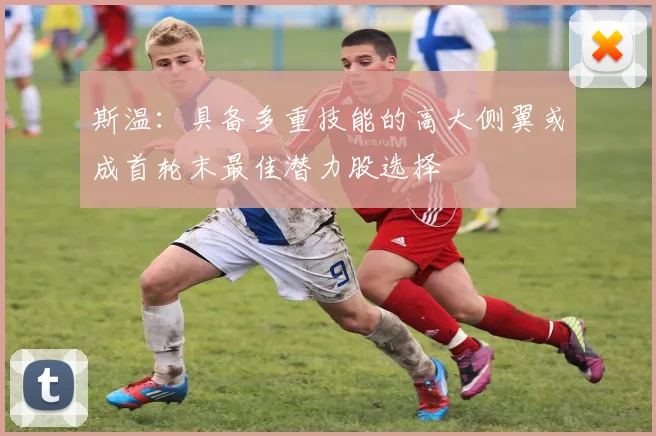 斯温：具备多重技能的高大侧翼或成首轮末最佳潜力股选择
